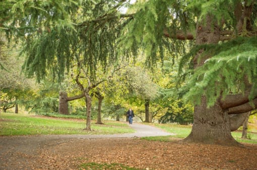 Multnomah Village Portland, Oregon Park
