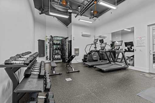 A gym with treadmills, exercise bikes, and other equipment.