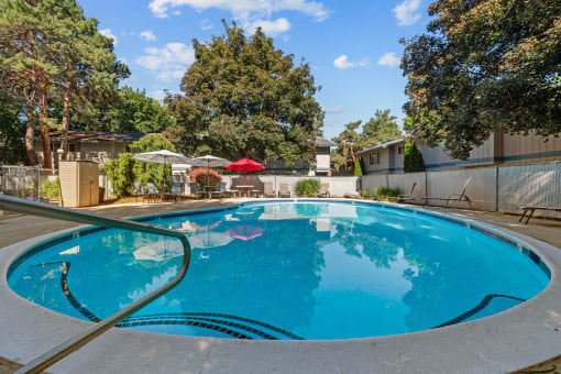 Curtis Apartments swimming pool with trees in the background and a fence
