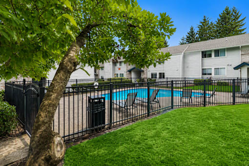 A tree with green leaves is in the foreground of a residential area with a pool and houses.