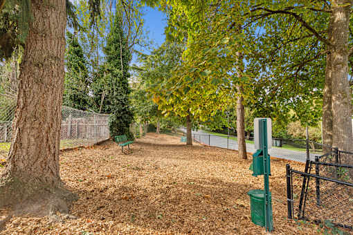 A tree with a green trunk and a green bin on the ground.