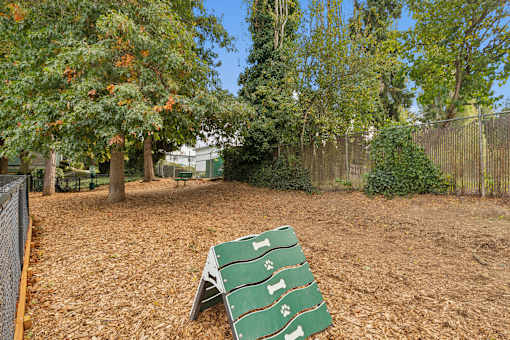 A green lawn chair sits on a dirt ground with trees in the background.