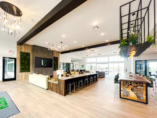 A modern office space with a reception desk and a green plant hanging from the ceiling.