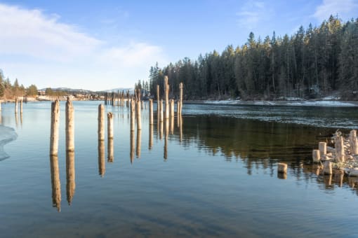 a view of a lake with wooden poles sticking out of the water