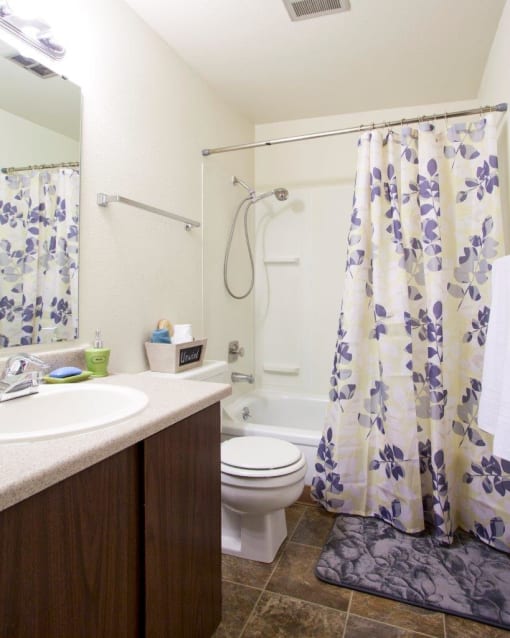 Maple Ridge Apartments Model Bathroom