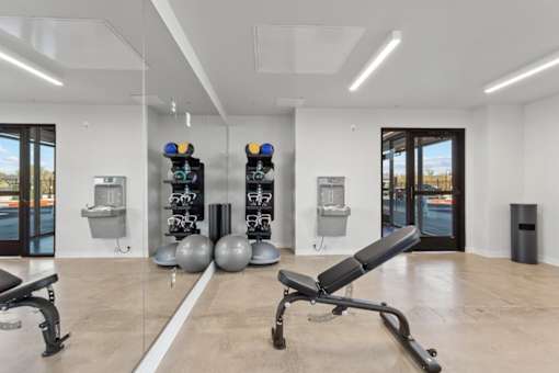 A gym with a row of exercise balls and a row of dumbbells.