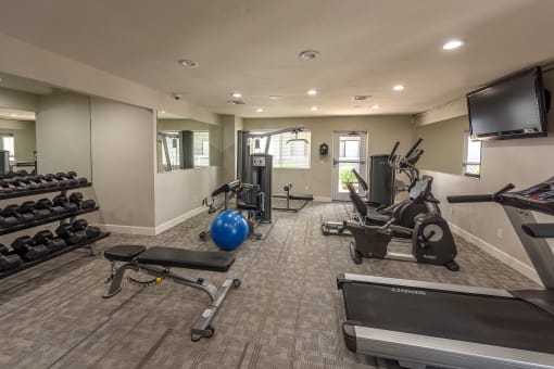 a gym with cardio machines and weights and a tv