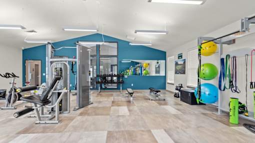 A gym with a variety of equipment including a squat rack, a bench press, and a treadmill.