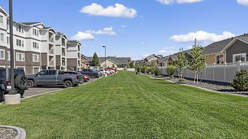 a green lawn in front of a row of houses