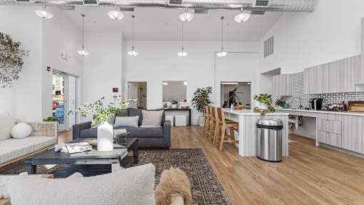 an open living room and kitchen with a dog in the middle