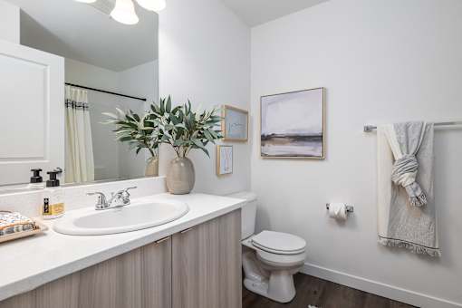 a bathroom with a sink and a toilet and a mirror