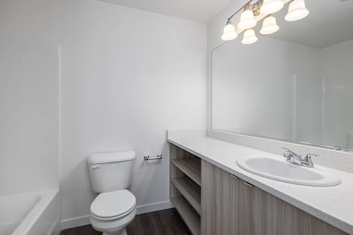 a bathroom with a toilet and a sink and a mirror