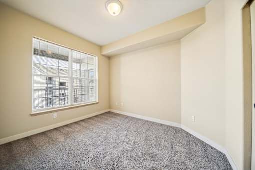 A room with a grey carpet and a window overlooking a building.