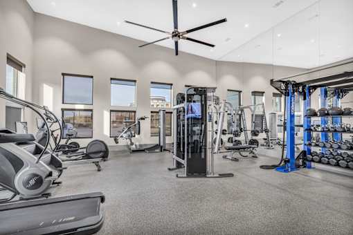 A spacious gym with a variety of equipment including treadmills, elliptical machines, and weight racks.