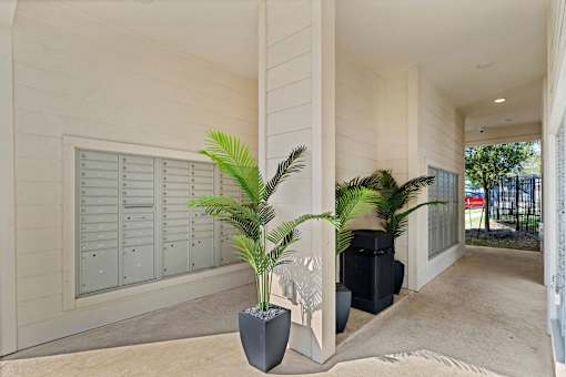A white building with a palm tree in a pot.