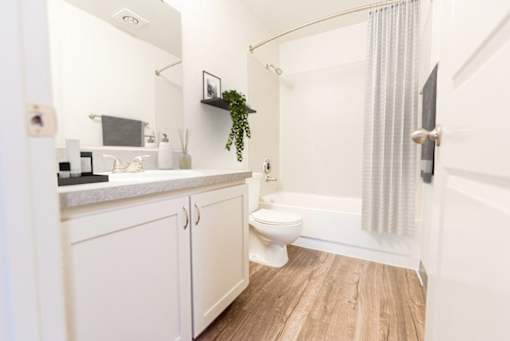 A white bathroom with a toilet, sink, and a plant.