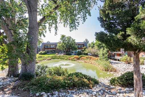 A serene garden with a pond, trees, and a house in the background.