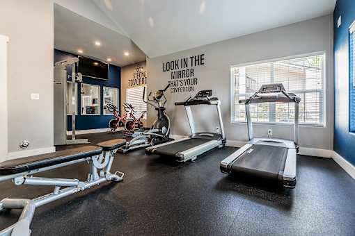 A gym with treadmills, weights, and a mirror.
