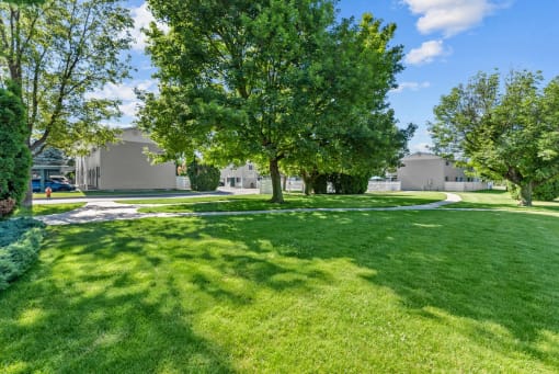 a park with green grass and trees and buildings in the background