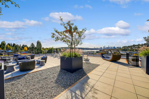 The Hayes on Stone Way Apartments rooftop terrace with potted trees at The Hayes on Stone Way, Seattle, Washington