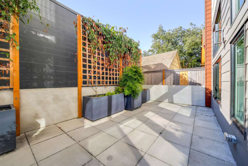 small patio with a fence and plants at The Hayes on Stone Way, Washington