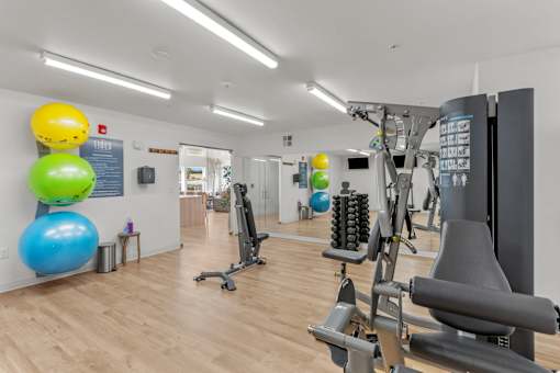 A gym with a variety of equipment and exercise balls on the wall.