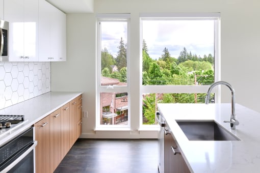 Multnomah Station Apartments kitchen with a view