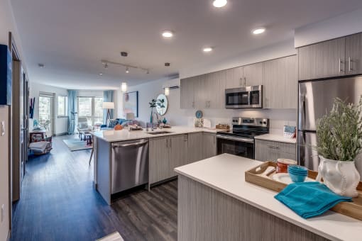 Voda_Kirkland_WA_Apartment_KitchenAndLivingRoom