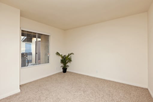an empty living room with a window and a potted plant