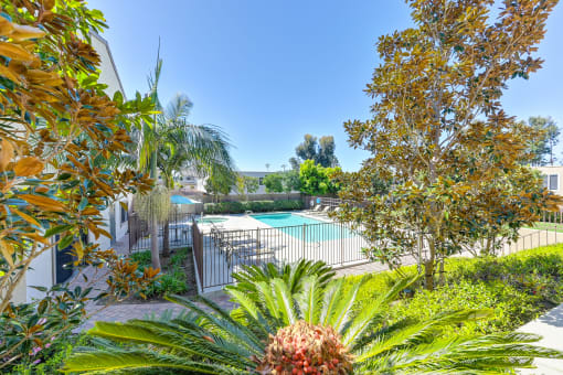a backyard with a pool and trees and a fence