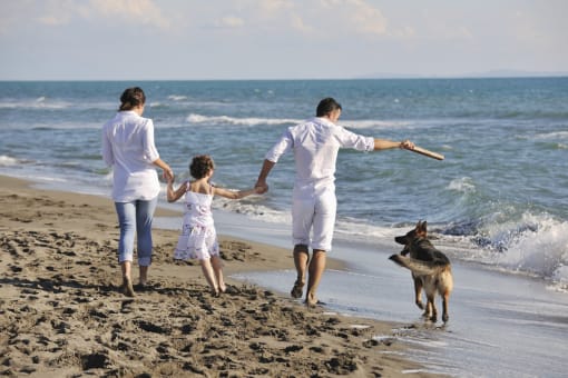 a family playing on the beach with their dog