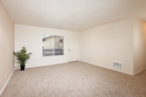 an empty living room with a plant in the corner