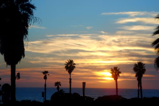 the sun sets over the ocean with palm trees in the foreground