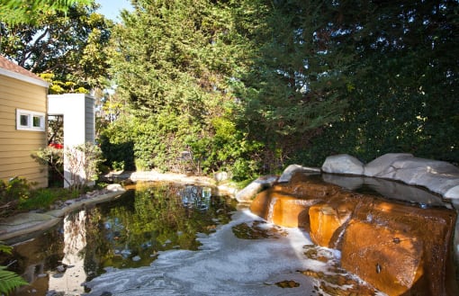 a waterfall in the backyard of a house