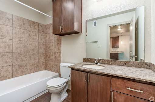 Bath at Hickory Street Lofts Apartments, Texas, 76201