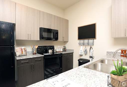 Black Appliances at The Liberty Lofts, Texas, 76240