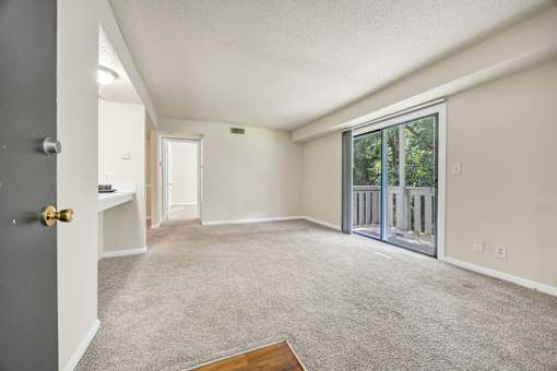 A room with a grey carpet and a wooden floor.