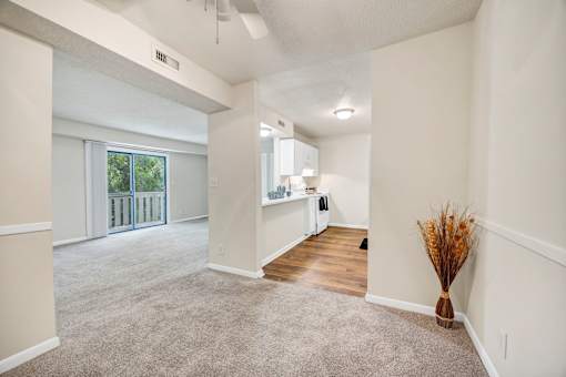 A room with a carpeted floor and a vase with dried flowers on the right side.