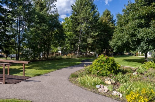 a path through a park with trees and a bench