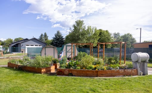 a garden with a scarecrow and a greenhouse in the background