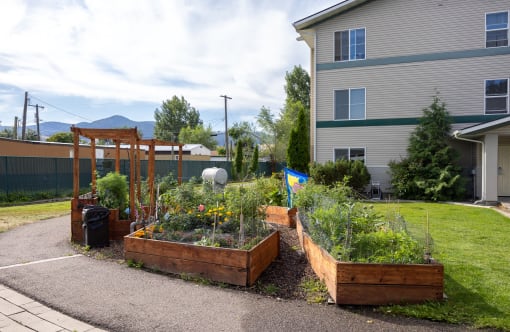 a community garden in front of a house