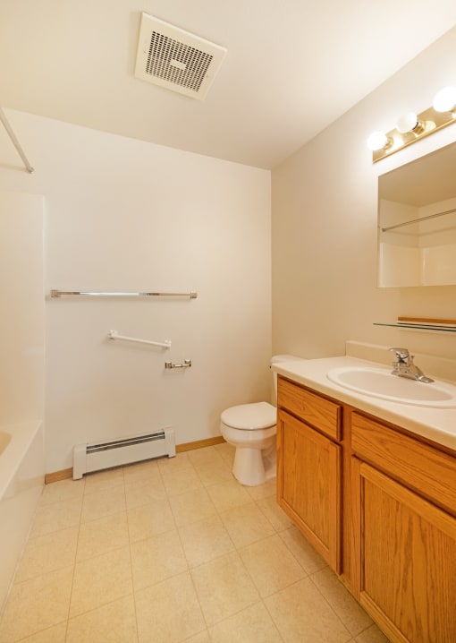 a bathroom with a toilet and a sink and a mirror