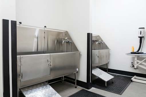Pet Wash Center at Copestone Apartments, Garden City, ID