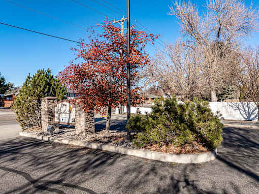 A tree with red leaves is in the center of a landscaped area.