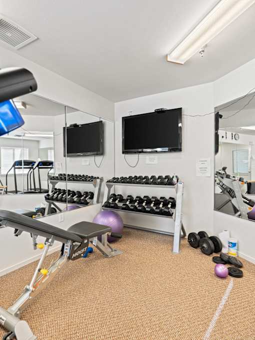 A gym room with a bench, dumbbells, and mirrors.