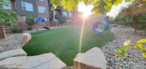 Pet park area with green lawn, stonework, and a blue agility tunnel at Cycle Apartments, Colorado, 80525
