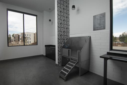 Pet spa with stainless steel tub with a rap at Cycle Apartments, Fort Collins, CO, 80525