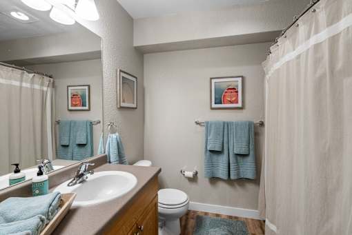 A bathroom with a toilet, sink, and shower curtain.