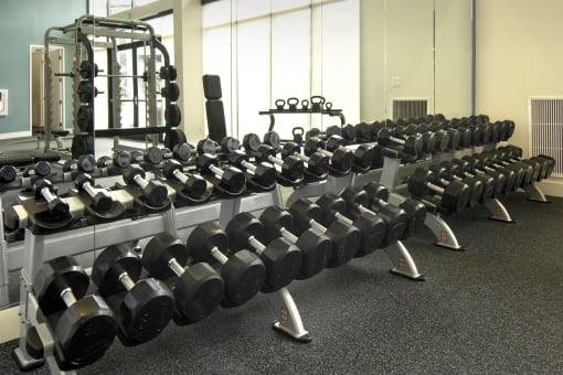 a row of dumbbells in a gym at Cycle Apartments, Colorado