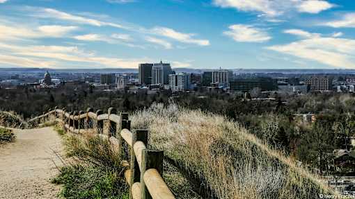 A cityscape is visible in the distance behind a wooden fence on a hill.